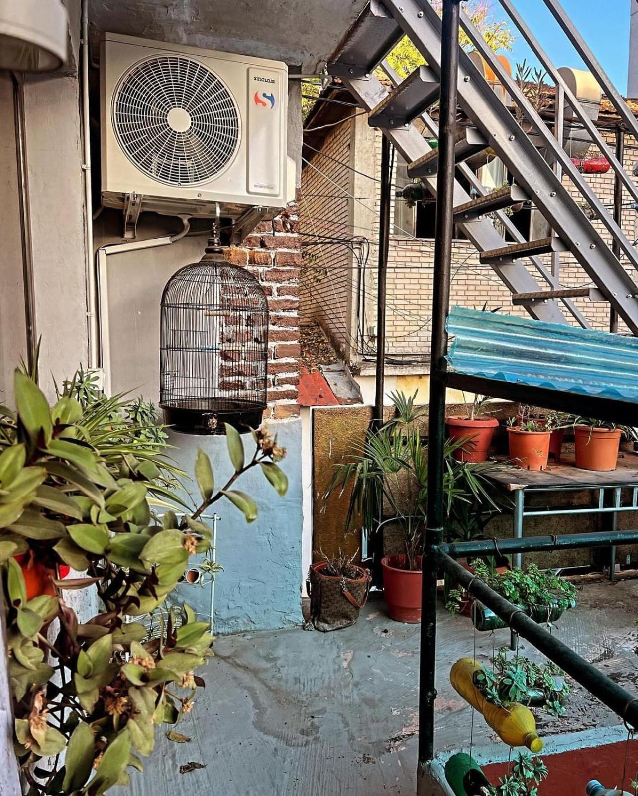 تيرانا Hoja Hostel المظهر الخارجي الصورة